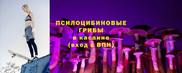 метадон Гусев