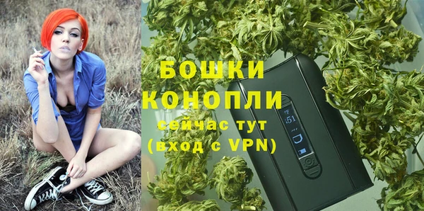 метадон Гусев