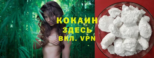 метадон Гусев